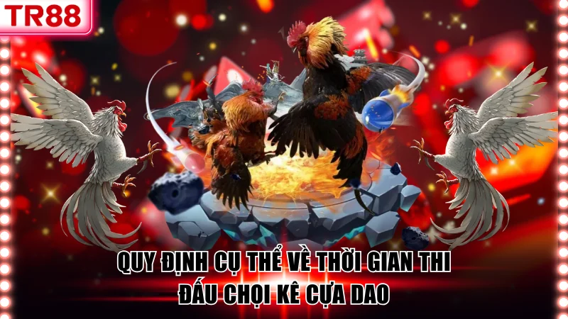 Quy định cụ thể về thời gian thi đấu chọi kê cựa dao